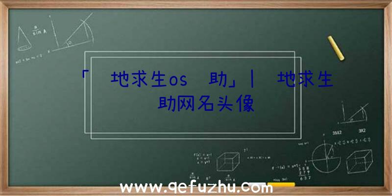 「绝地求生os辅助」|绝地求生辅助网名头像